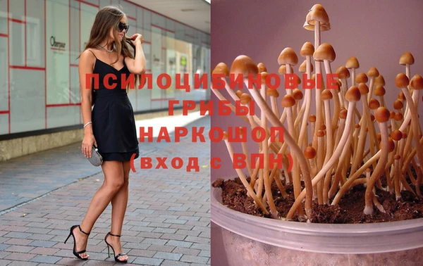 каннабис Абинск