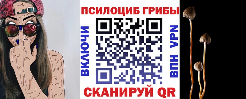 дарнет шоп  omg вход  Галлюциногенные грибы мицелий  Петров Вал 